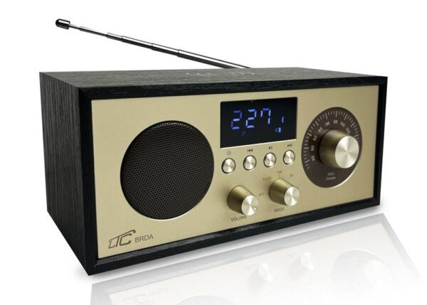 Radio portable RETRO Brda FM/BT/USB, batterie 2200 mAh, 10 W, charge inductive pour téléphone, noir et or