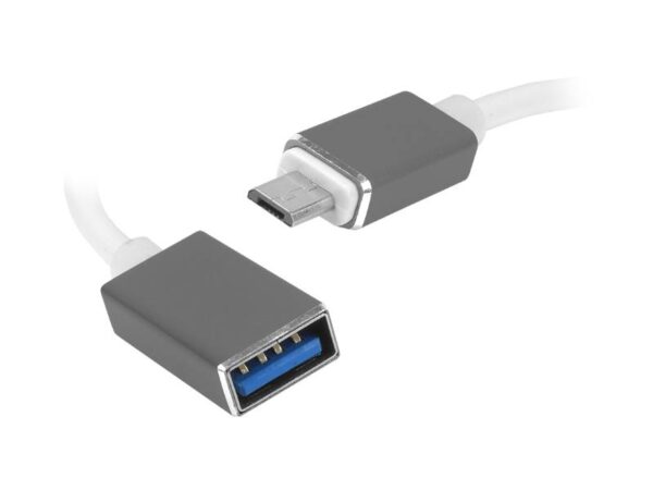Câble PS OTG : prise MicroUSB - prise USB, 20 cm.