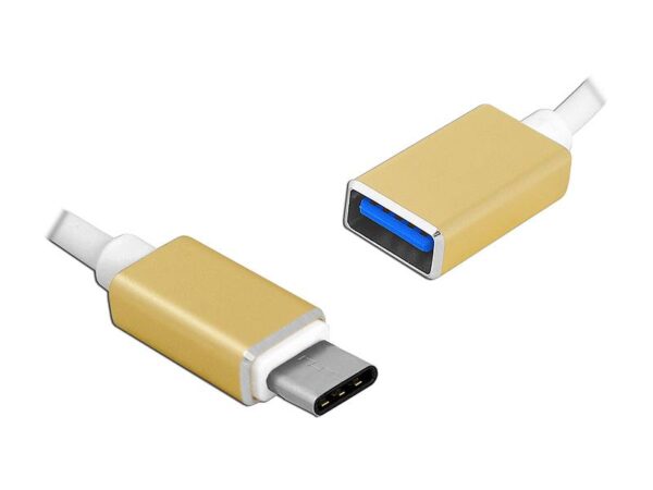 Câble PS OTG : prise USB Type-C - prise USB, 20 cm.