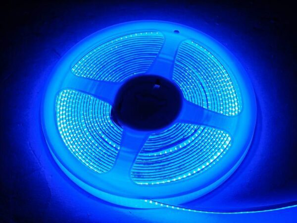 Bande LED COB bleue PS 5 m, IP20, 60 W, 12 W/m