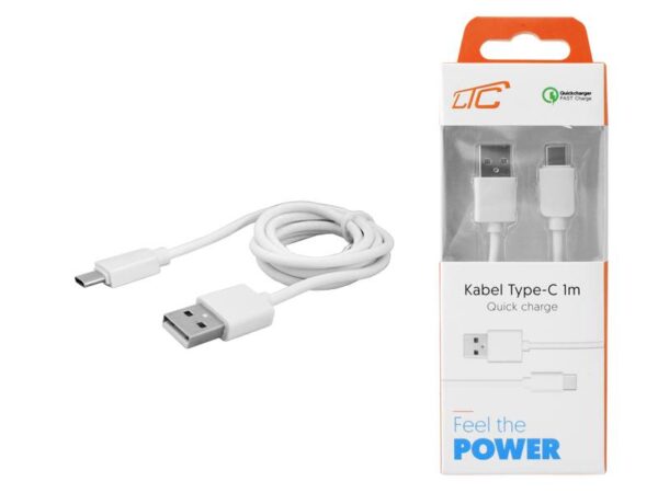 Câble PS USB Type-C 1 m Blanc Charge rapide