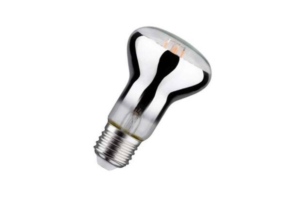 Ampoules LED pour plantes et légumes E27 R63 9W 0478