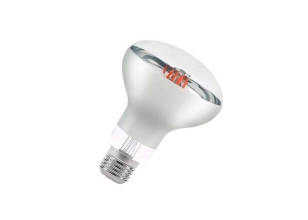 Ampoules LED pour plantes et légumes E27 R80 9W 0480