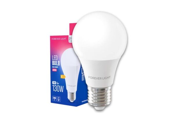 Ampoule LED E27 A65 17W 230V 6000K 2100lm Forever Light (Classe E)