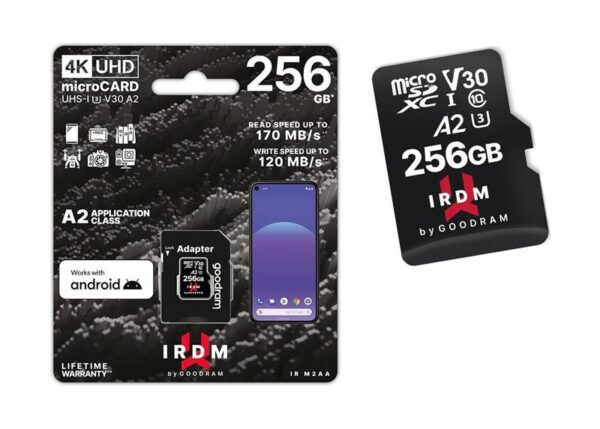 Carte PS Goodram 256 Go Micro + Adaptateur IRDM V30