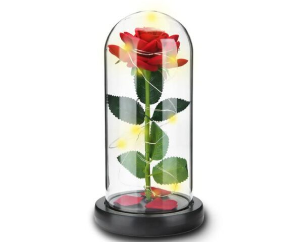 Rose rouge éternelle, décorative, avec illumination