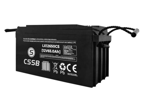 Batterie PS sans entretien SLA 12 V 65 Ah