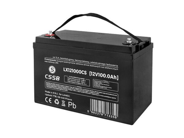 Batterie PS sans entretien SLA 12 V 100 Ah