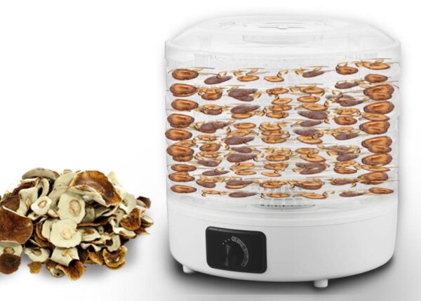 Séchoir rond LTC pour champignons, légumes, fruits, viande, 5 plateaux