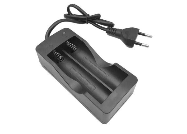 Chargeur pour 2 batteries 18650, 4,2 V CC, 500 mA