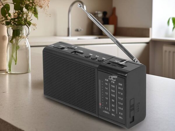 Radio portable LTC REGA avec USB, TF, AUX, mini lampe torche LED et batterie BL-5C, noire.