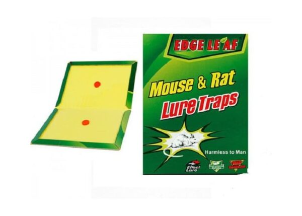 Piège inodore pour souris, rats et vers