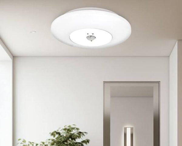 Lampe LED PS LTC (HBI-011-A) avec détecteur de mouvement, détecteur de luminosité et batterie intégrée de 2000 mAh