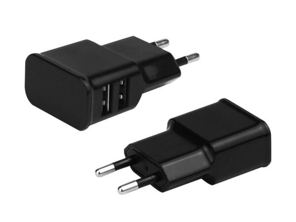 Chargeur secteur 2 x USB 2000 mA