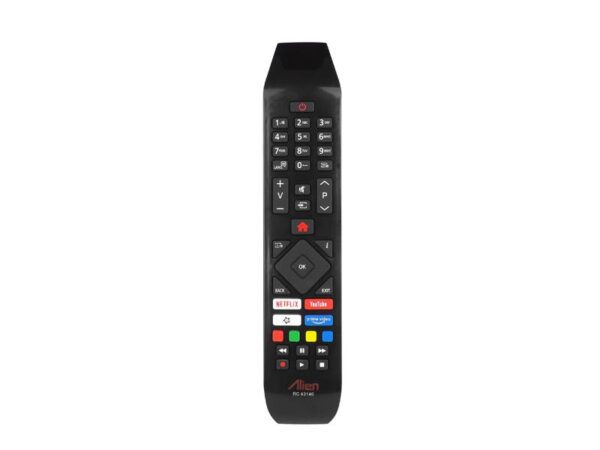 Télécommande pour téléviseur LCD Hitachi RC43140 (Netflix, YouTube)
